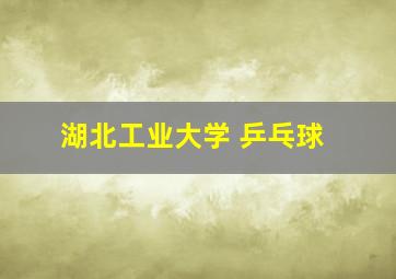 湖北工业大学 乒乓球